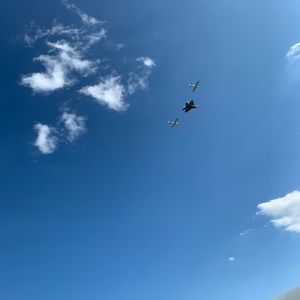 Meet your Posher, Ann